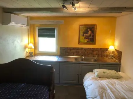 Maison pittoresque à Sainte-Croix-aux-Mines, vue sur la montagne - Photo 75