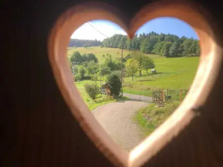 Maison pittoresque à Sainte-Croix-aux-Mines, vue sur la montagne - Photo 76
