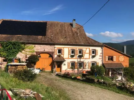 Maison pittoresque à Sainte-Croix-aux-Mines, vue sur la montagne - Photo 77