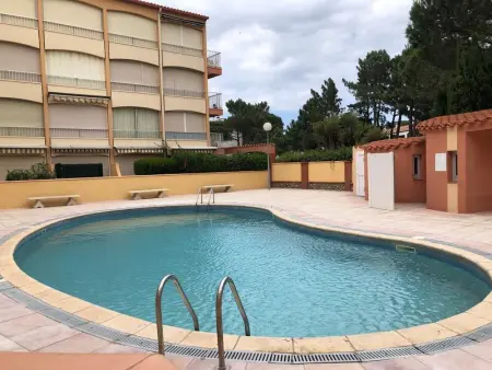 Appartement à Argelès sur Mer, Appartement cosy à Argelès-sur-Mer 30 m² avec piscine partagée - L1063632