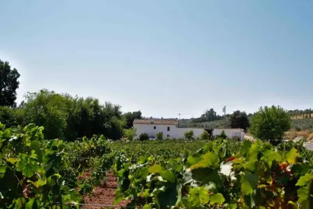 Villa élégante au cœur de Montilla avec piscine privée - Photo 1