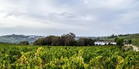Villa élégante au cœur de Montilla avec piscine privée - Photo 27