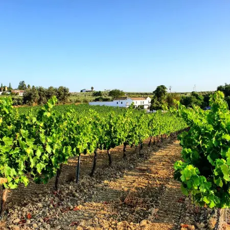 Villa élégante au cœur de Montilla avec piscine privée - Photo 29