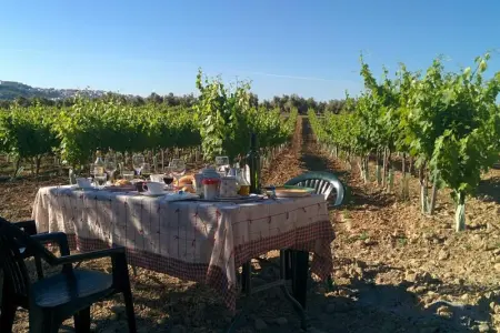 Villa élégante au cœur de Montilla avec piscine privée - Photo 30