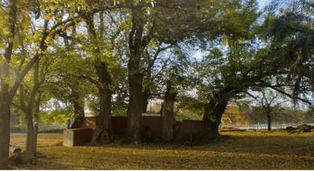 Villa élégante au cœur de Montilla avec piscine privée - Photo 31