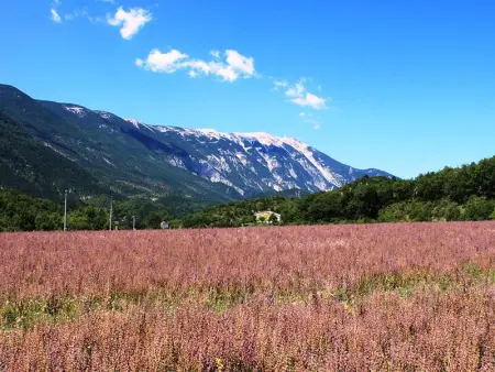 Maison spacieuse à La Roche-sur-le-Buis avec piscine privée 150 m² - Photo 21