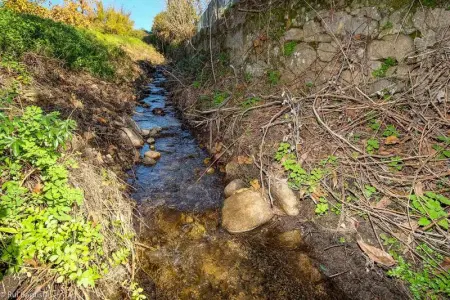 Appartement charmant à Monchique avec piscine partagée - 55 m² - Photo 19