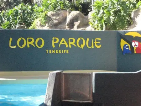 Appartement moderne à Adeje, 65 m², piscine ouverte toute l'année - Photo 32