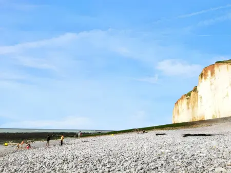 Maison rustique charmante à Sassetot-le-Mauconduit, jardin. - Photo 22