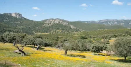 Maison charmante à Cañamero avec piscine partagée - Photo 8
