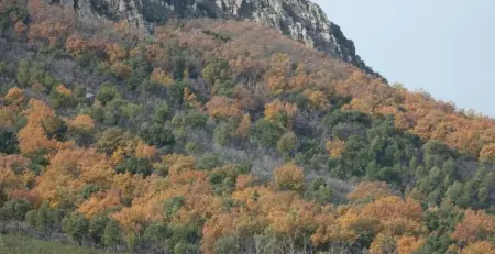 Maison charmante à Cañamero avec piscine partagée - Photo 10