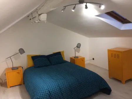 Maison spacieuse et accueillante à Cirey-sur-Vezouze + Jardin - Photo 1