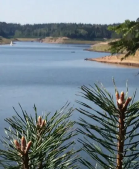Maison spacieuse et accueillante à Cirey-sur-Vezouze + Jardin - Photo 33