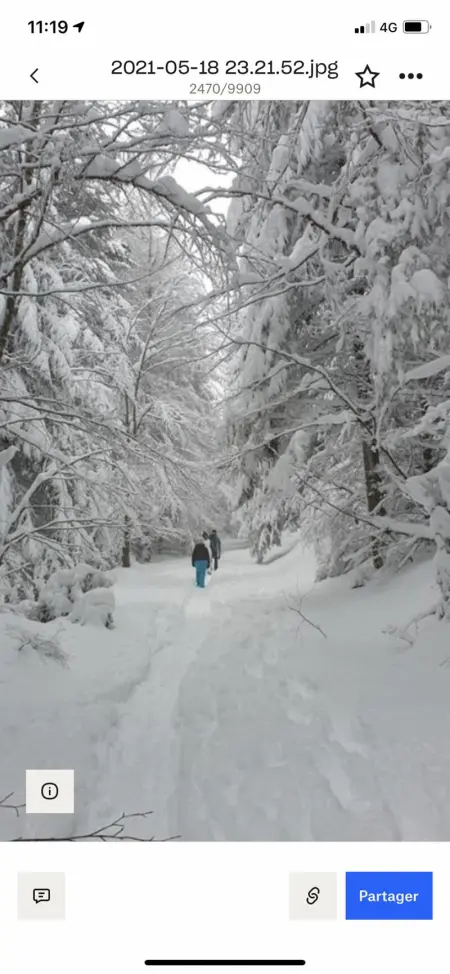 Maison spacieuse et accueillante à Cirey-sur-Vezouze + Jardin - Photo 41