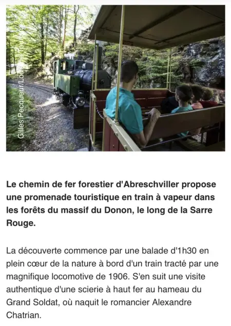 Maison spacieuse et accueillante à Cirey-sur-Vezouze + Jardin - Photo 46