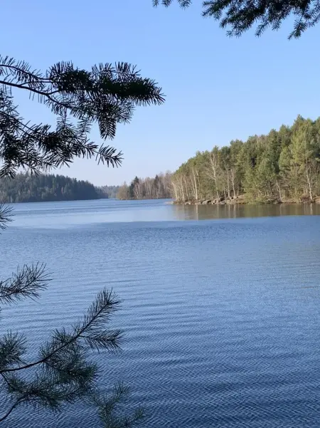 Maison spacieuse et accueillante à Cirey-sur-Vezouze + Jardin - Photo 47