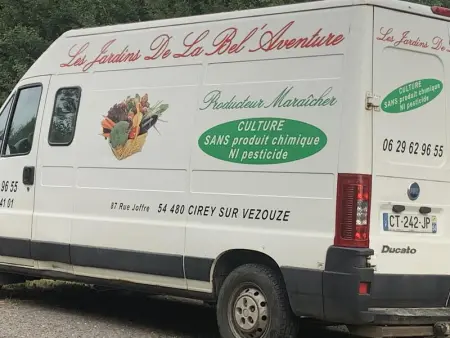 Maison spacieuse et accueillante à Cirey-sur-Vezouze + Jardin - Photo 48