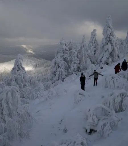 Maison spacieuse et accueillante à Cirey-sur-Vezouze + Jardin - Photo 52