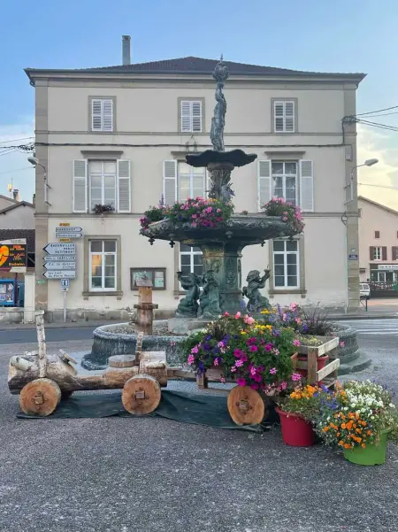 Maison spacieuse et accueillante à Cirey-sur-Vezouze + Jardin - Photo 55