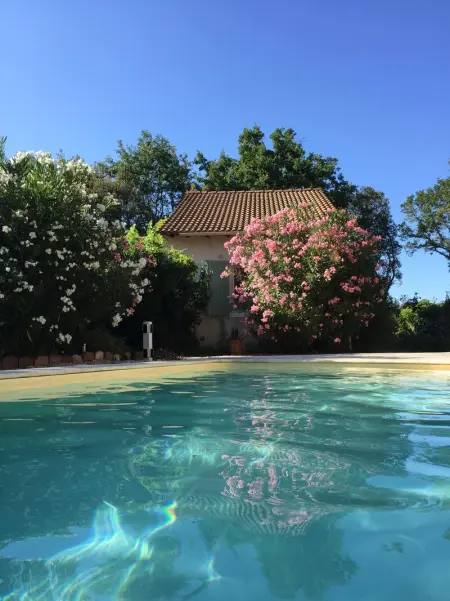 Villa charmante à Arpaillargues-et-Aureillac avec piscine privée - Photo 7