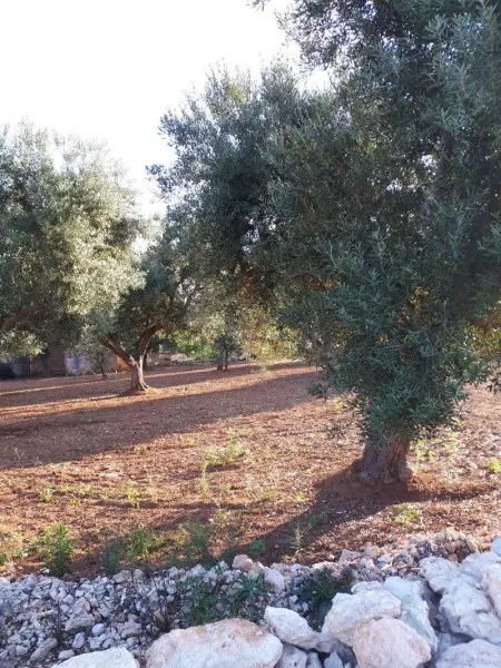 Villa charmante à Arpaillargues-et-Aureillac avec piscine privée - Photo 12