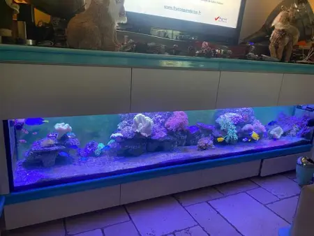 Villa d'exception à Palaja avec piscines intérieures et extérieures - Photo 17