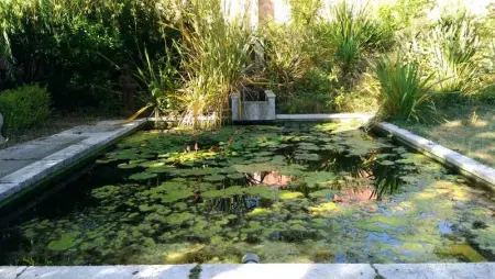 Villa d'exception à Palaja avec piscines intérieures et extérieures - Photo 70