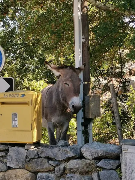 Maison de charme à Balazuc avec jardin et mobilier extérieur - Photo 27