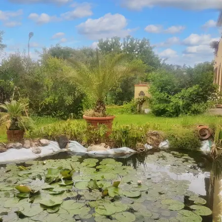 Appartement charmant à San Mauro Pascoli avec jardin, 75 m².

- - Photo 16