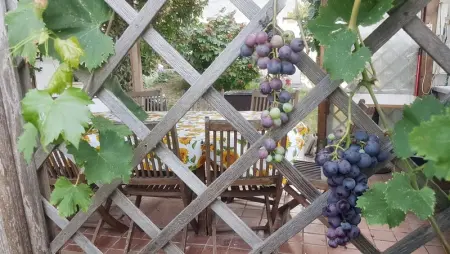 Appartement charmant à San Mauro Pascoli avec jardin, 75 m².

- - Photo 22