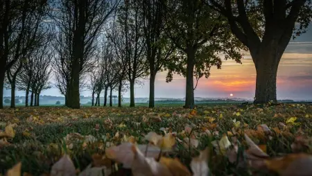 Maison charmante en campagne à Mouterre-Silly, Jardin, Terrasse. - Photo 16