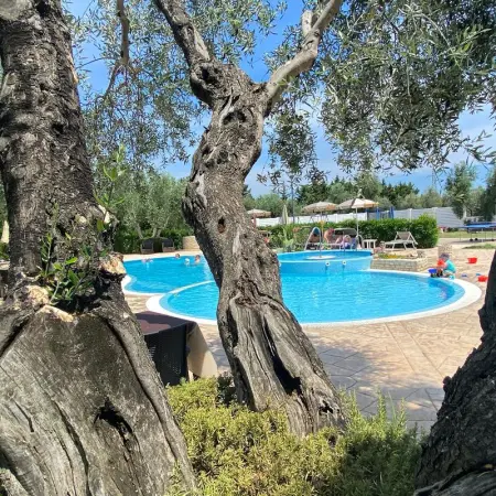Appartement charmant à Vieste avec piscine partagée et jardin - Photo 11