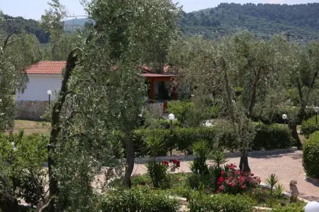 Appartement charmant à Vieste avec piscine partagée et jardin - Photo 19