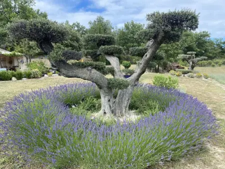 Villa élégante à Murs avec piscine privée, Villa 10 personnes à Murs - Photo 19