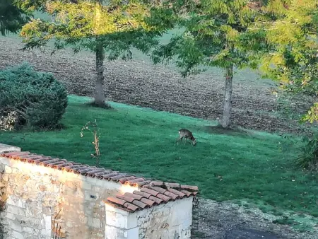 Maison de charme à Brantôme en Périgord avec piscine partagée - Photo 16