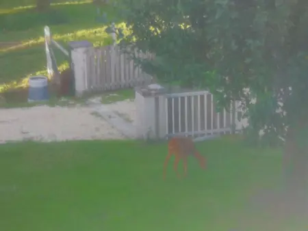 Maison de charme à Brantôme en Périgord avec piscine partagée - Photo 18
