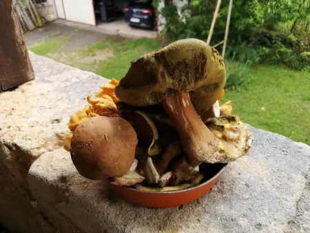 Maison de charme à Brantôme en Périgord avec piscine partagée - Photo 19