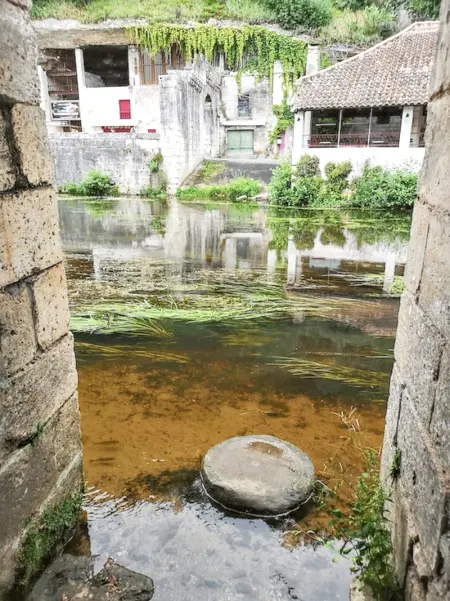 Maison de charme à Brantôme en Périgord avec piscine partagée - Photo 34