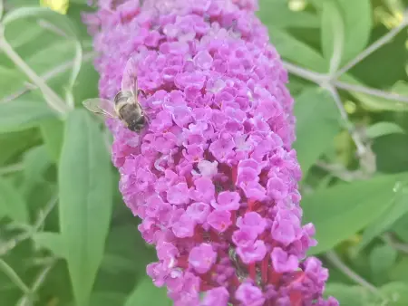 Maison de charme à Brantôme en Périgord avec piscine partagée - Photo 38