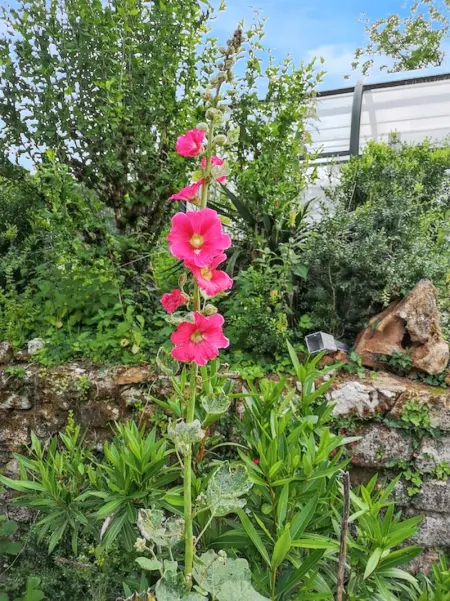 Maison de charme à Brantôme en Périgord avec piscine partagée - Photo 40