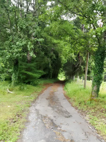 Maison de charme à Brantôme en Périgord avec piscine partagée - Photo 45
