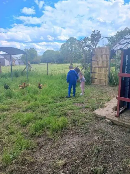 Villa élégante à Beauchêne avec piscine privée - Photo 53