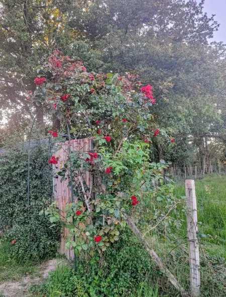 Villa élégante à Beauchêne avec piscine privée - Photo 62