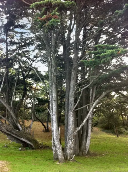 Maison accueillante à Noirmoutier-en-l'Île 45 m² avec jardin privé - Photo 11