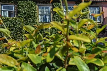 Appartement charmant à Porto, 60 m², centre historique - Photo 17