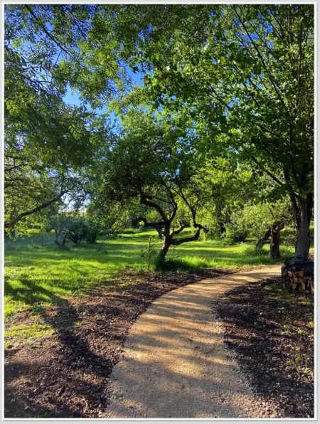 Maison cosy à Chouzy sur Cisse avec jardin, Maison 2 personnes à Chouzy sur Cisse - Photo 20