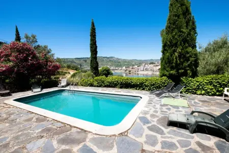 Villa à Lamego, Villa de charme à Lamego avec piscine privée - L1064218