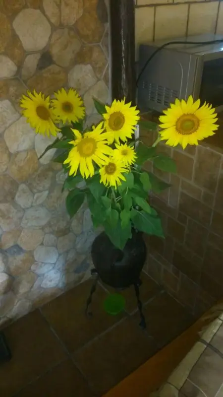 Maison lumineuse à Sanlúcar – Cheminée, Appartement 4 personnes à Sanlúcar de Barrameda - Photo 19