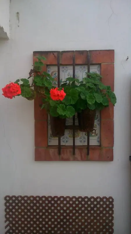 Maison lumineuse à Sanlúcar – Cheminée, Appartement 4 personnes à Sanlúcar de Barrameda - Photo 20