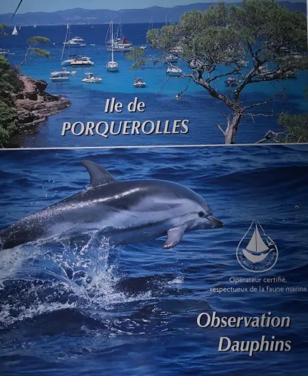 Appartement charmant à Bandol 30 m² avec vue sur la mer. - Photo 24